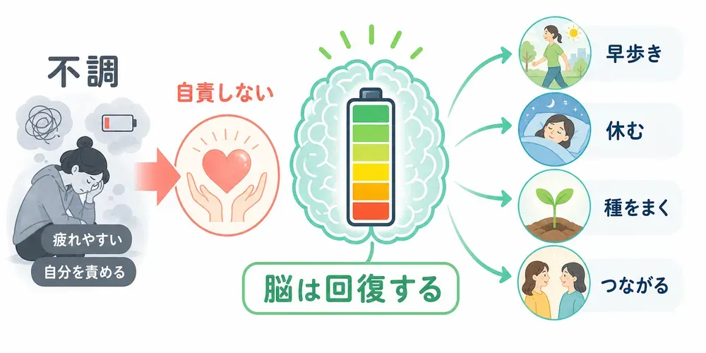 図解