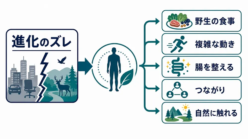 図解